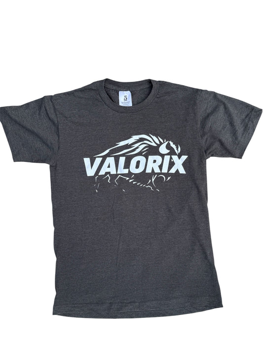Grey t-shirt